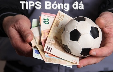 Các loại tips bóng đá phổ biến nhất hiện nay