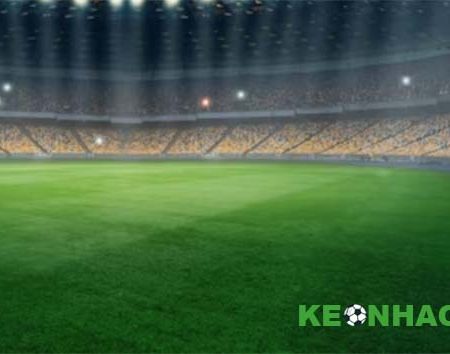 Những phần mềm cá độ bóng đá bóng đá chuyên nghiệp